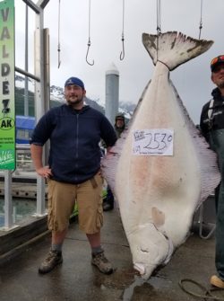 Image result for alaska halibut fishing