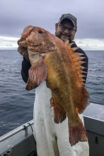 Yelloweye Rockfish Valdez Alaska 3