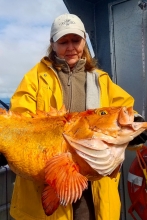 Yelloweye Rockfish Valdez Alaska