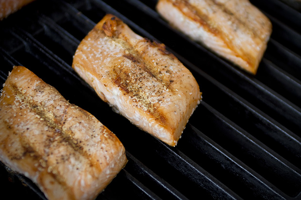 Valdez Outfitters Grilled Wild Alaska Salmon with Tarragon Mustard ...