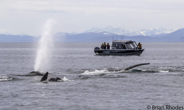 Valdez Rental Boats - Valdez Outfitters, Valdez Alaska Fishing Charters ...