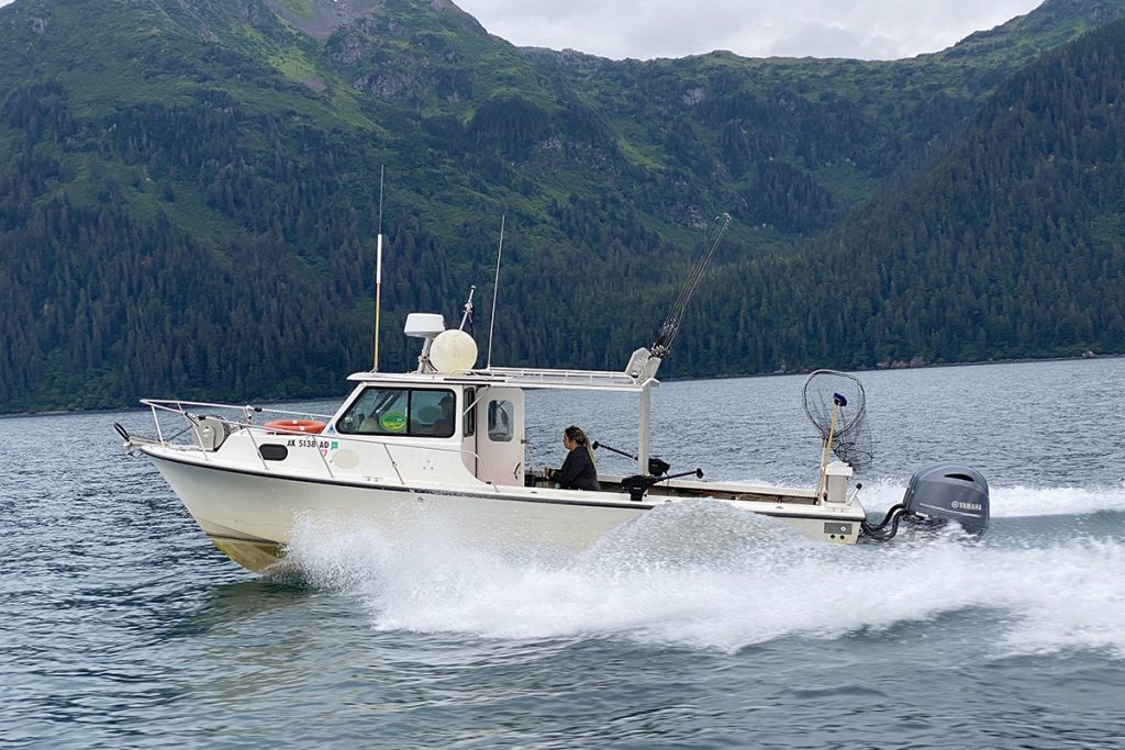 The Boats - Valdez Outfitters, Valdez Alaska Fishing Charters & Alaska ...